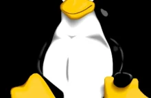 Linux 3.0 już za kilka tygodni