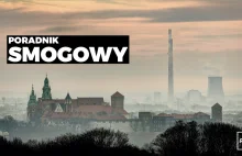 SMOGOWY PORADNIK - jak chronić się przed smogiem? Ile to kosztuje? Co kupić?