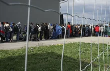 Segregacja uchodźców w Niemczech. Ukraińskie wnioski o azyl są odrzucane