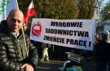 Minister sprawdzi, czy doszło do owocowej zmowy cenowej