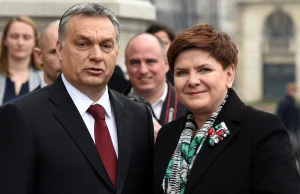 Beata Szydło spotka się w czwartek z Viktorem Orbanem.