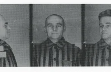 Jak Witold Pilecki dostał się na ochotnika do Auschwitz?