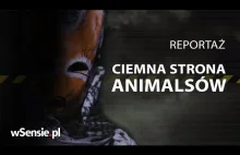 Ciemna strona Animalsów. Co organizacje prozwierzęce chcą przed Tobą...