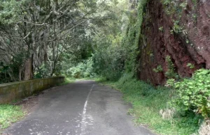 Old Pali Road - najbardziej nawiedzona droga świata