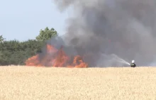 Płonęło 200 hektarów zboża. W akcji samoloty gaśnicze