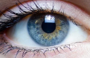 Nowe bioniczne szkła kontaktowe spowodują, że okulary będą przeżytkiem