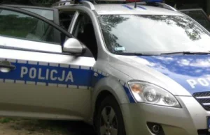 Policja bada sprawę pogryzienia 4-latki