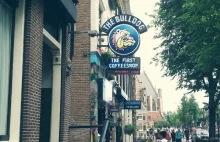 The Bulldog coffeshop, Amsterdam