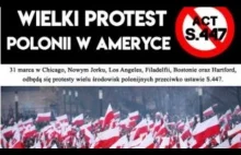 Biało-czerwone ulice USA. Polonia protestuje przeciwko ustawie...