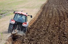 Polski absurd. Rolnik nie może sprzedawać warzyw w folii