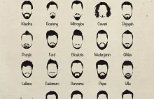 Wszystkie brody Mundialu