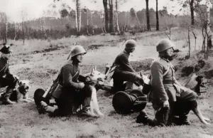 O wiernym do końca psie z Bitwy nad Bzurą 1939