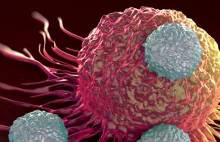 Martwe komórki – nowa broń w walce z nowotworami