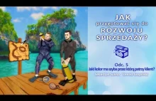 JAK przygotować się do ROZWOJU SPRZEDAŻY? Odc. 5 Jaki kolor ma szyba prz...