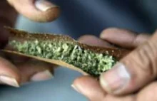 Kanada pierwszym krajem G7 legalizującym marihuanę