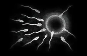 7 faktów na temat spermy, które musi znać każdy facet - Facet
