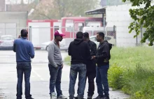 Węgierski dziennik ukarany za nazywanie islamistów "potencjalnymi zabójcami"