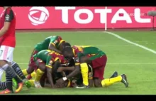 Kamerun mistrzem Afryki, po wygranej 2:1 z Egiptem.