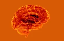 Sprawdź, czy grozi Ci udar mózgu. 29 października - Światowy Dzień Udaru Mózgu