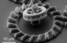 Micromotors are powered by bacteria, controlled by light
