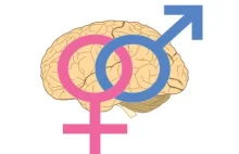 Mózg kobiety bardziej aktywny?