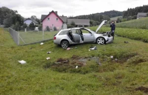 Wypadek spowodowany przez bliźniaków. Problem dla Policji.