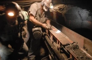 Kompania Węglowa chce budować kopalnię na Lubelszczyźnie