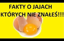 1#TOP 10 FAKTY I CIEKAWOSTKI O JAJACH KTÓRYCH NIE ZNASZ!!!