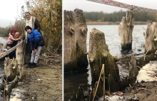 Gopło odsłoniło tajemnicze konstrukcje drewniane sprzed tysiąca lat!