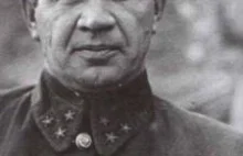 30 lat temu zmarł dowódca obrony Stalingradu