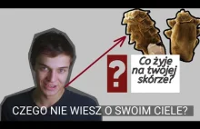 Czego nie wiesz o ludzkim ciele?