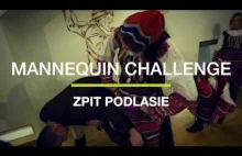 Mannequin Challenge w wykonaniu Zespołu Pieśni i Tańca z Podlasia