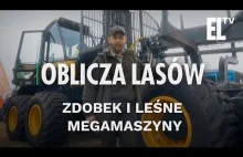 Zdobek i leśne megamaszyny | Oblicza lasów #18