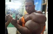 Synthol największy biseps-biggest biceps