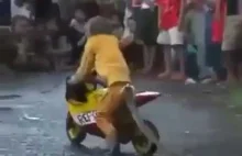 Małpa na motocyklu!