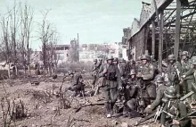 79 Dywizja Piechoty, Stalingrad, Październik 1942