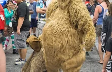 Śmieszny strój niedźwiedzia na Comic-Con 2016
