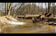 Przez rzekę (Marcin z lasu)