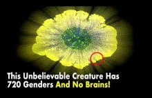 To stworzenie ma 720 płci i nie ma mózgu