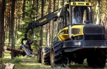 Ponsse Ergo C4, H7, Harvester im Poland, pozyskiwanie drewna,...