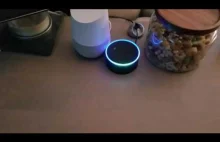 Złapane w pętli, czyli Echo rozmawia i odpowiada na Google Home