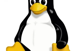 Build Your Own Linux: Stwórz swój własny system na bazie jądra Linuxa