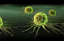 Naukowcy z USA wyprodukowali klej na raka! Komórki zaczynają zdrowieć i rosnąć!