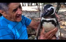 Przyjaźń między człowiekiem a pingwinem