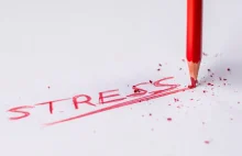 Jak pokonać stres w WORD, aby WORD nie pokonał Ciebie? - Ministerstwo...