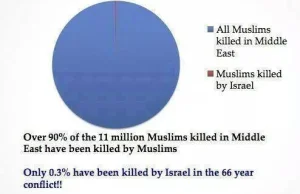 [infografika] Muzułmanie zabici przez Izrael i przez samych siebie.