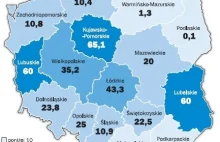 Zboża wymarzły, pola do zaorania. Katastrofa, która wywinduje ceny żywności?