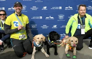 Niewidomy biegacz i trzy psy. Historyczne wydarzenie na półmaratonie w USA.