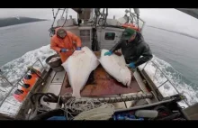 Southeast Alaska Commercial Halibut Fishing