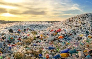 Globalny kryzys śmieciowy. Zachód nie radzi sobie z własnymi odpadami